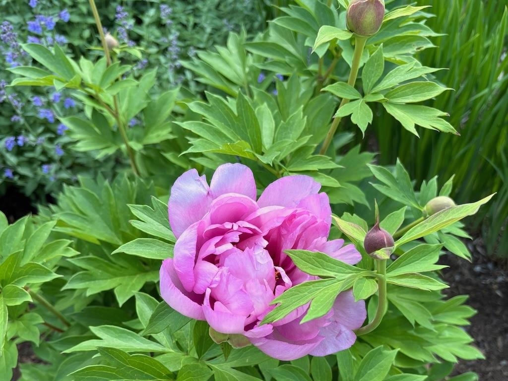 14 Colonial Square, Unit 14 Peterborough, NH 03458 - Photo 7 of 47