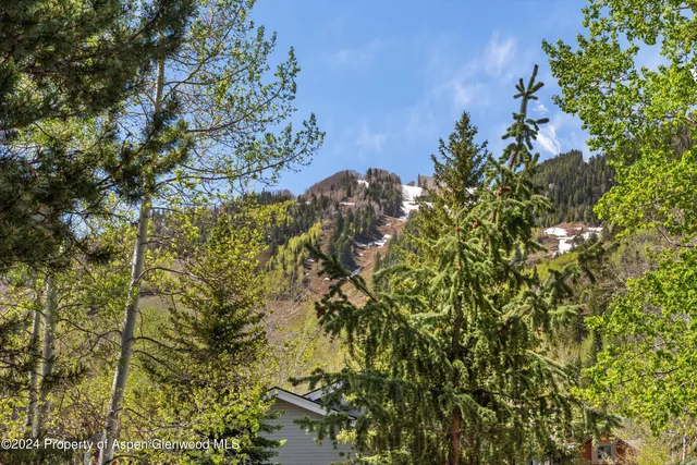 a view of a tree with a yard