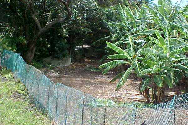 31 Puuwai Road Kalaheo, HI 96741 - Photo 1 of 1 Gallery Image 1