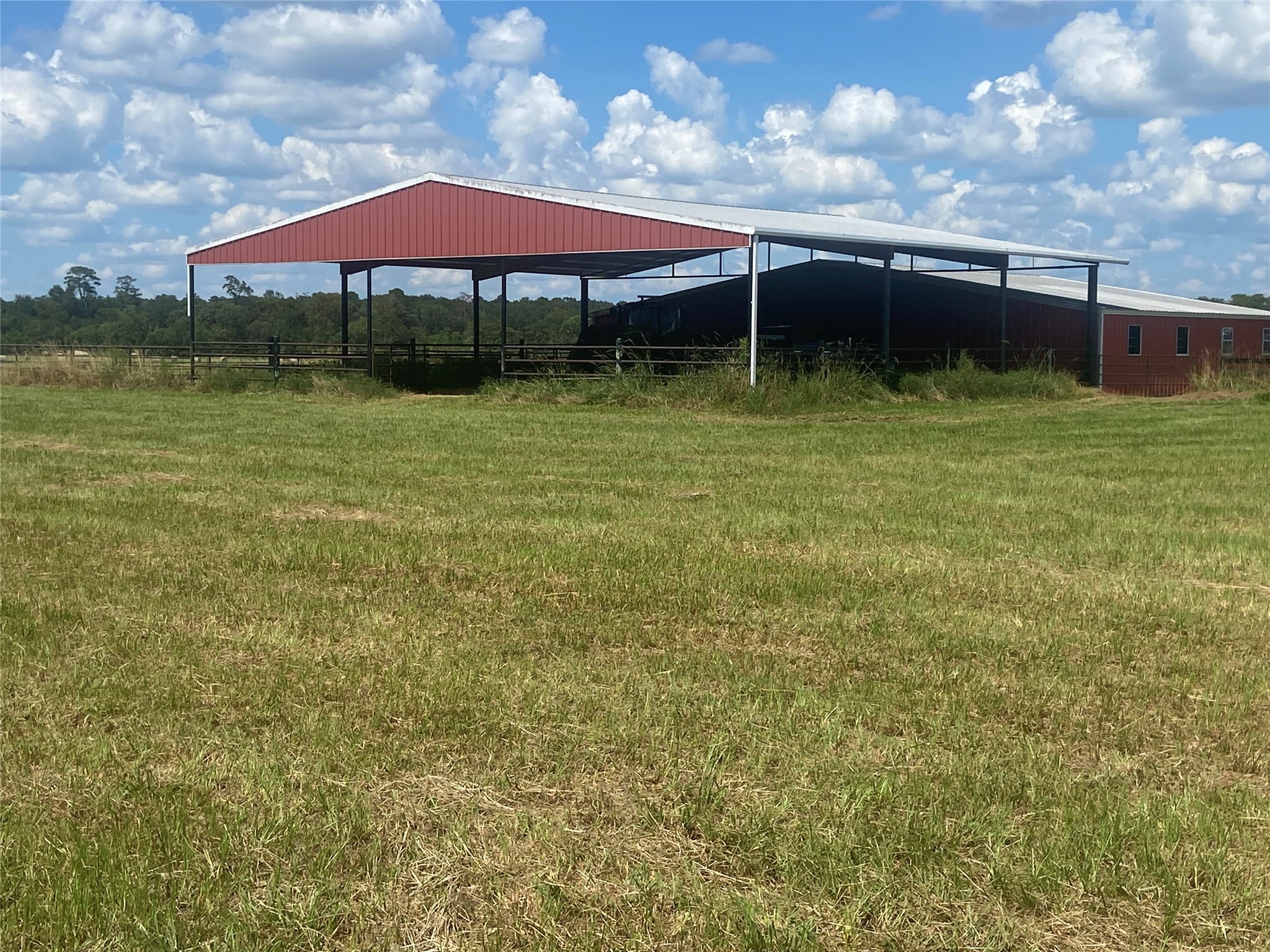 40062 Highway 105 Batson, TX 77519 - Photo 4 of 30 a view of a backyard