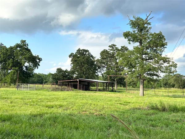 a backyard of a house with lots of green space and trampoline
