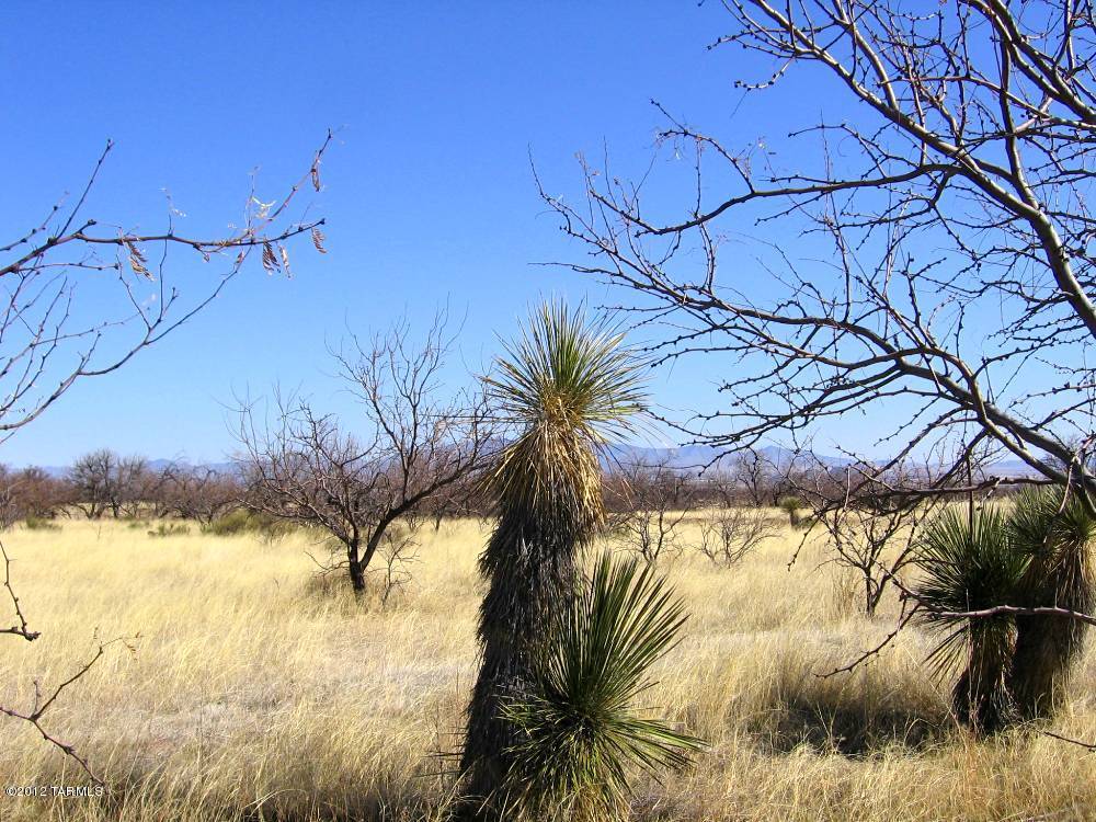 11 Acres On Pearce Road Pearce, AZ 85625 - Photo 11 of 12 Gallery Image 11
