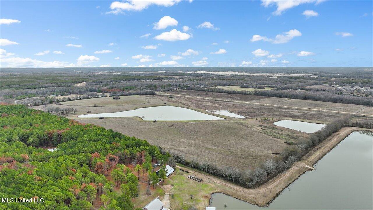 0 Stout Road Canton, MS 39046 - Photo 8 of 11 08-Stout Rd