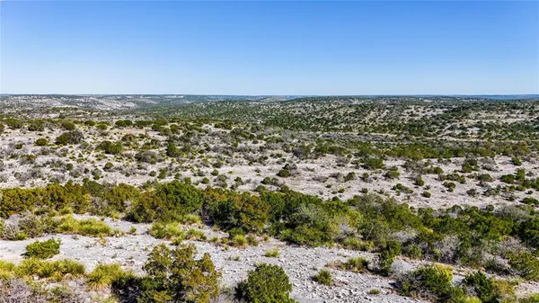 a view of a garden with flowers