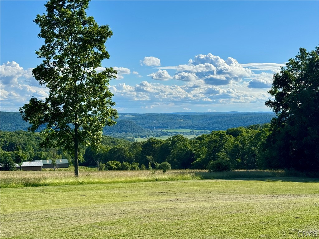 7043 Hutches Road Bath, NY 14810 - Photo 2 of 32 Stunning views from the front yard
