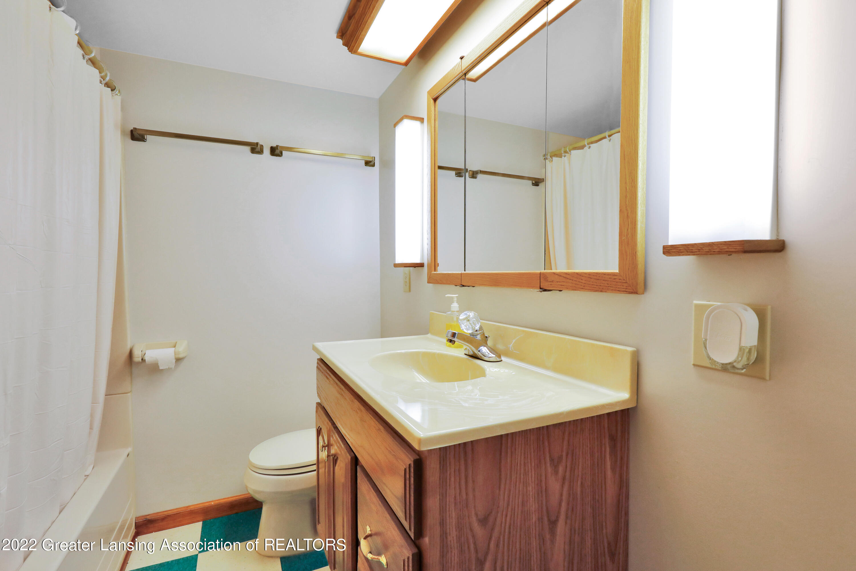 14933 Brown Road Lansing, MI 48906 - Photo 13 of 53 Lowe Level Full Bath