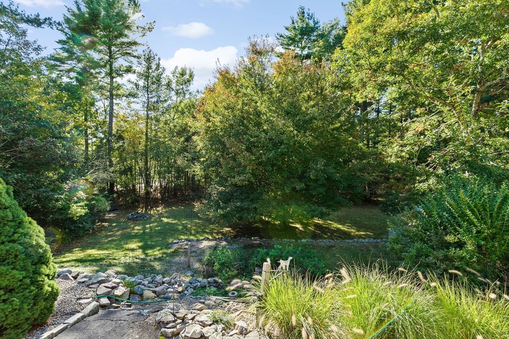 150 Ryder Road Rochester, MA 02770 - Photo 32 of 42 a lush green forest view with lots of trees