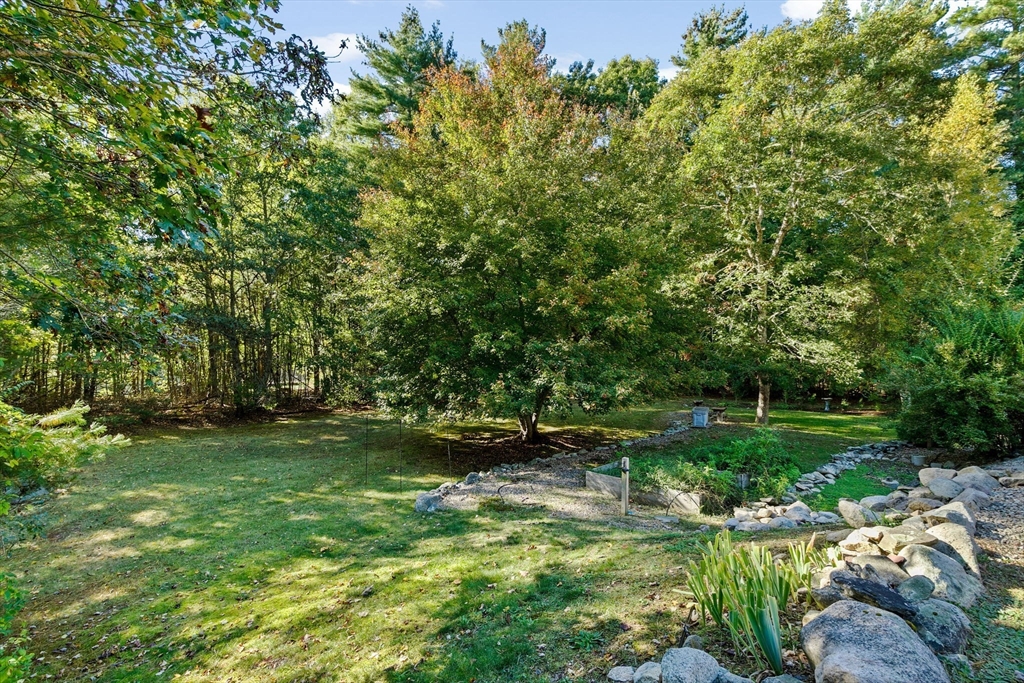 150 Ryder Road Rochester, MA 02770 - Photo 36 of 42 a view of a backyard with plants and a large tree