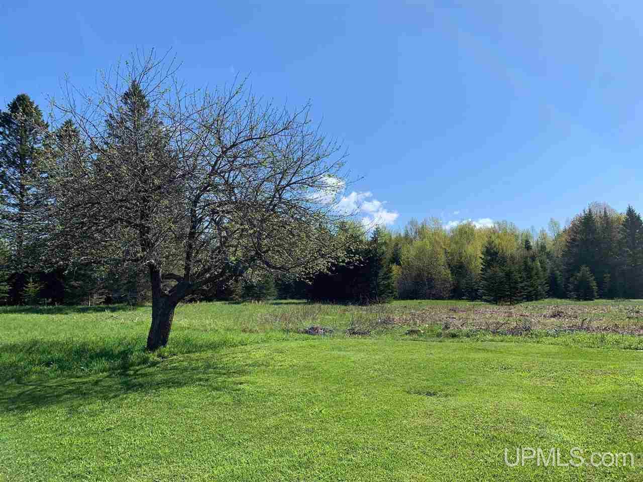 5461 W Duck Inn Road Manistique, MI 49854 - Photo 9 of 26