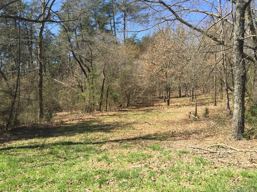 156 Luther Durham Road Tryon, NC 28782 - Photo 20 of 23 a view of yard with trees