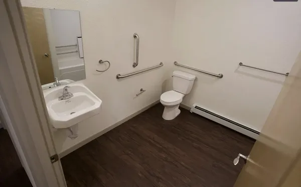 a bathroom with a sink and a toilet