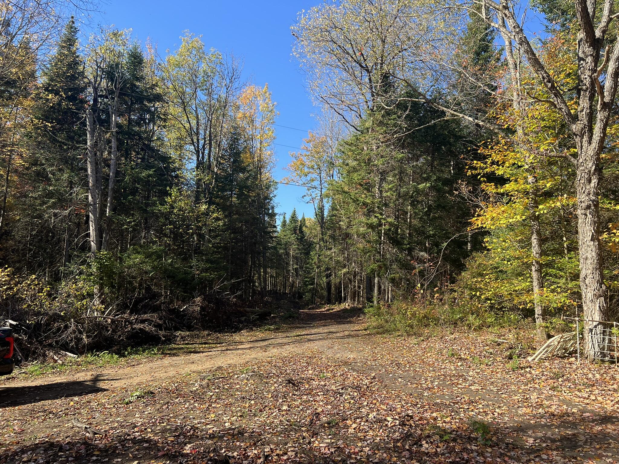 82 West Side Road Owls Head, NY 12969 - Photo 19 of 20 Gallery Image 19