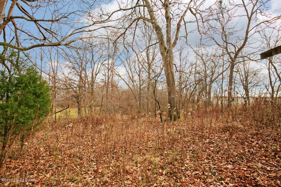 1090 Sirocco Road Brandenburg, KY 40108 - Photo 60 of 74 LREP0479