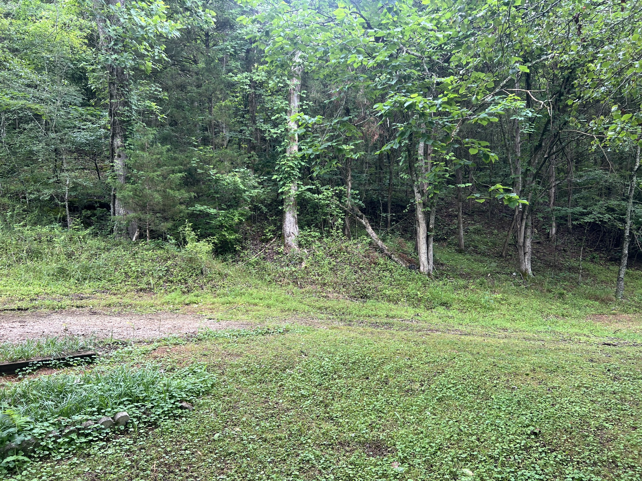 32 Patterson Lane Pleasant Shade, TN 37145 - Photo 4 of 33