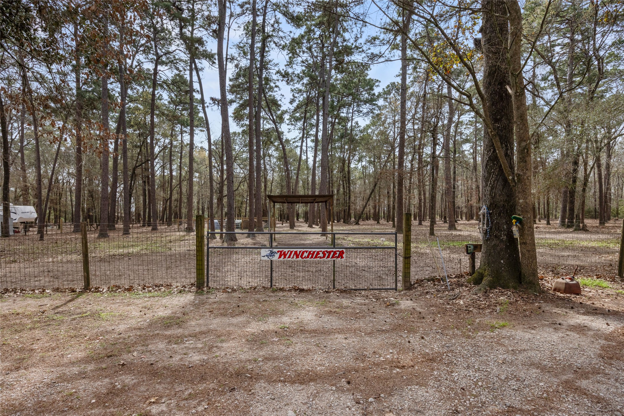 31601 Huffman Cleveland Road Huffman, TX 77336 - Photo 35 of 38 a view of park with trees