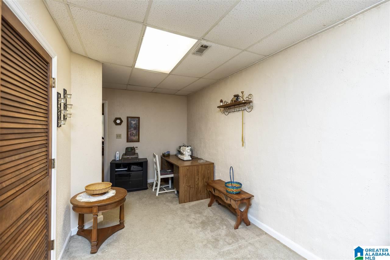 140 Pine Haven Road Eclectic, AL 36024 - Photo 46 of 50 Gallery Image 46