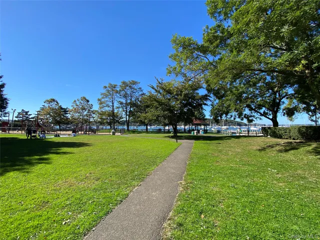 a view of a swimming pool and trees in the background
