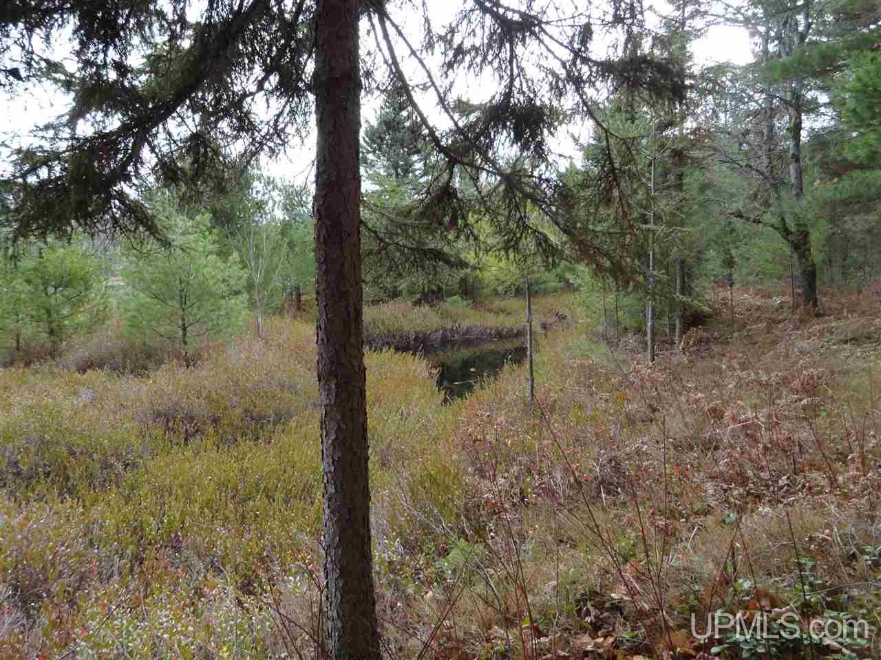 Tbd Tbd Bietala Boy Road Wetmore, MI 49895 - Photo 25 of 30