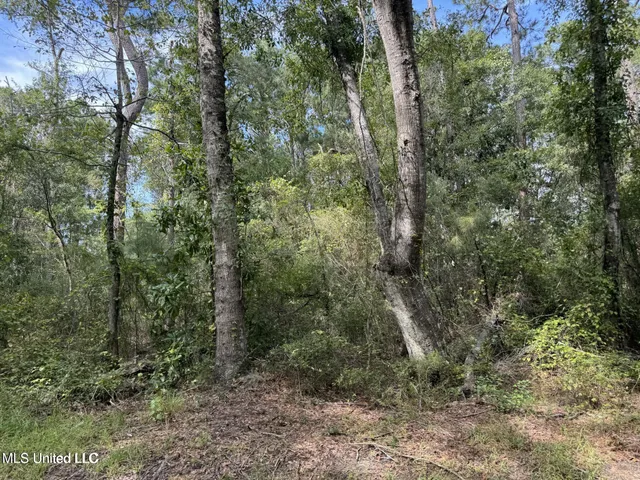 $20,000 | 604 1st Avenue, Pearlington, MS 39572