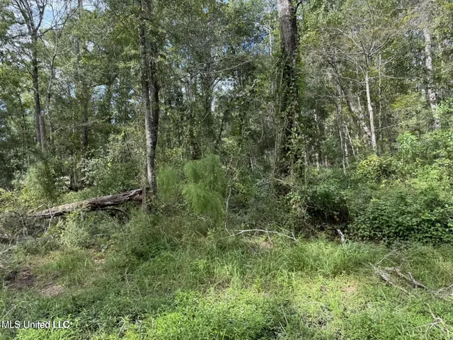 $20,000 | 604 1st Avenue, Pearlington, MS 39572