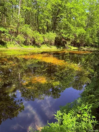 $95,000 | 2620 Weaver Road, Port Austin, MI 48467
