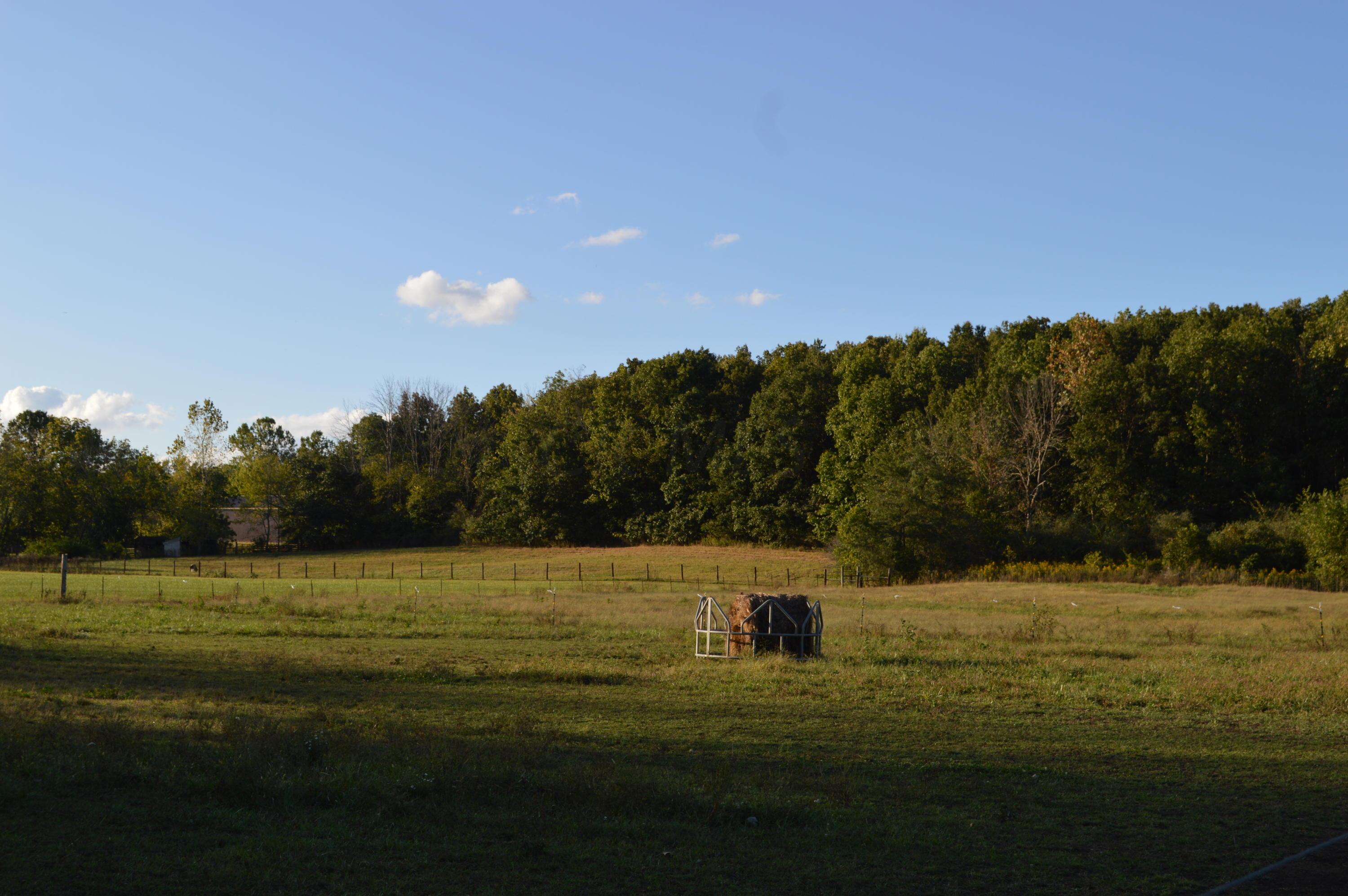 26321 Jackson Road Circleville, OH 43113 - Photo 37 of 40 Gallery Image 37
