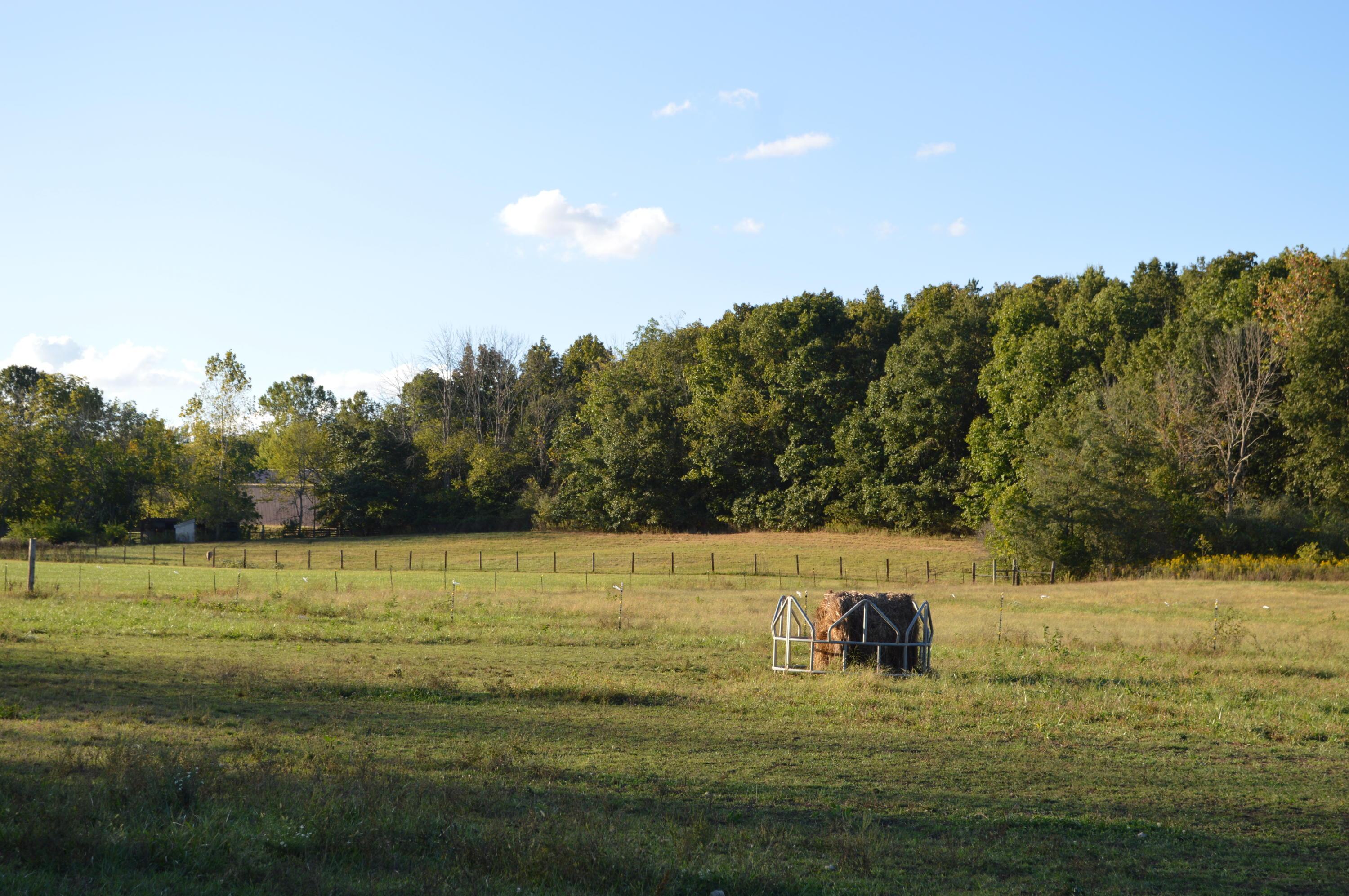 26321 Jackson Road Circleville, OH 43113 - Photo 39 of 40 Gallery Image 39