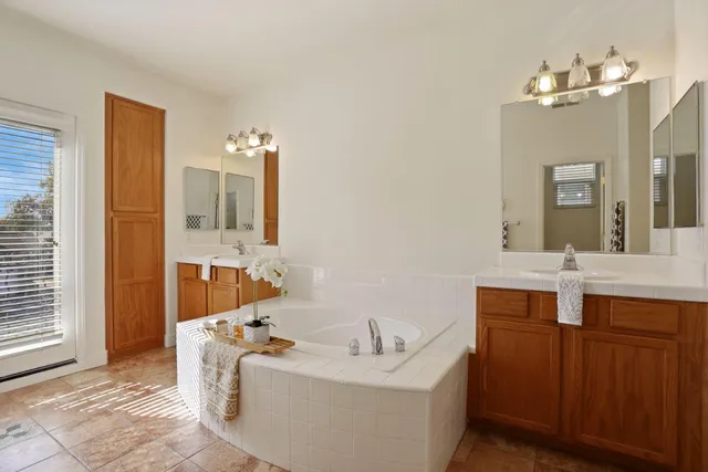 a view of a park with large trees