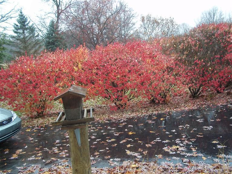 79659 Stapleton Road Decatur, MI 49045 - Photo 18 of 24 Additional Photo