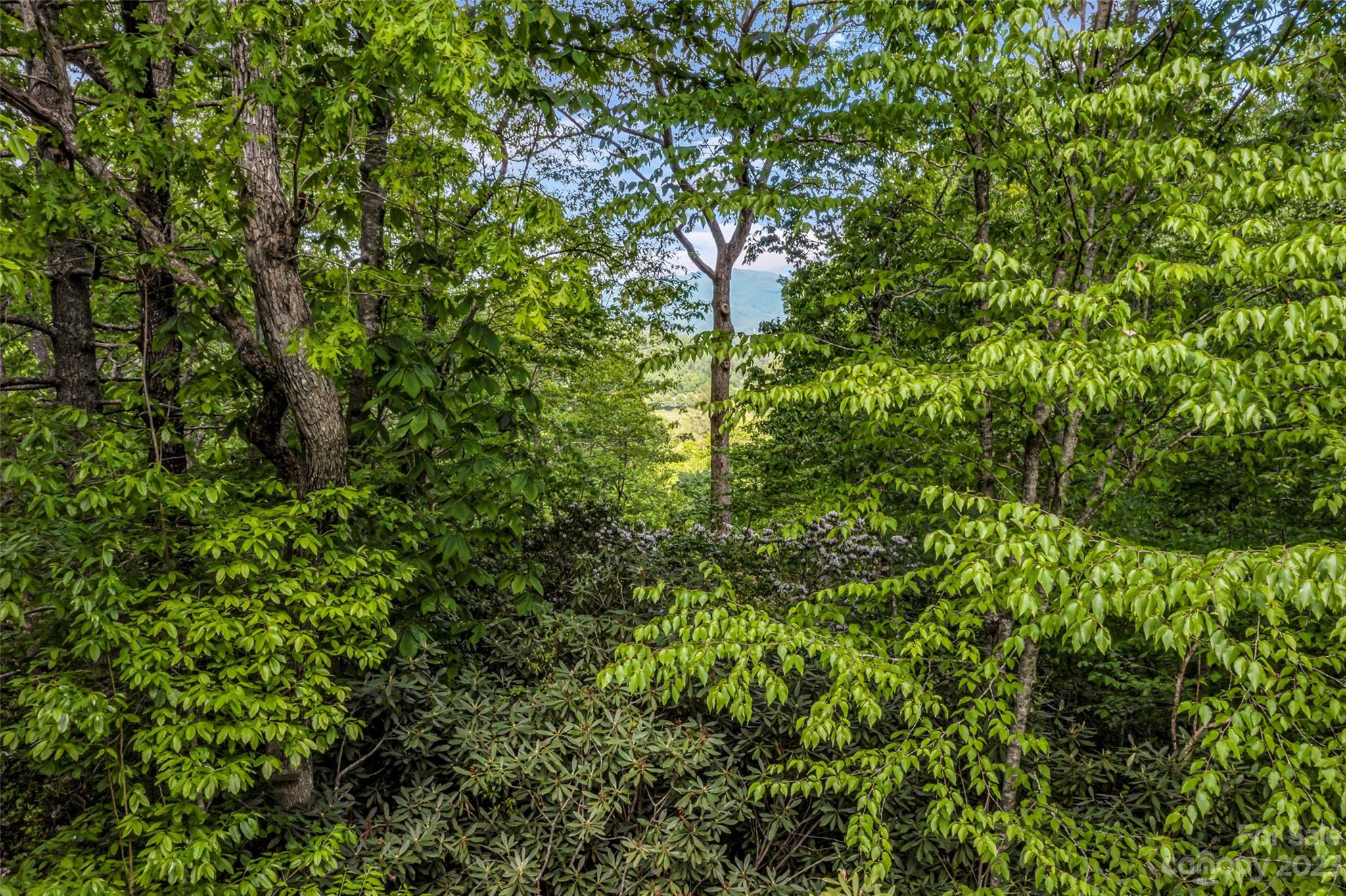 230 Rocky Ridge Road Pisgah Forest, NC 28768 - Photo 38 of 45 Gallery Image 38