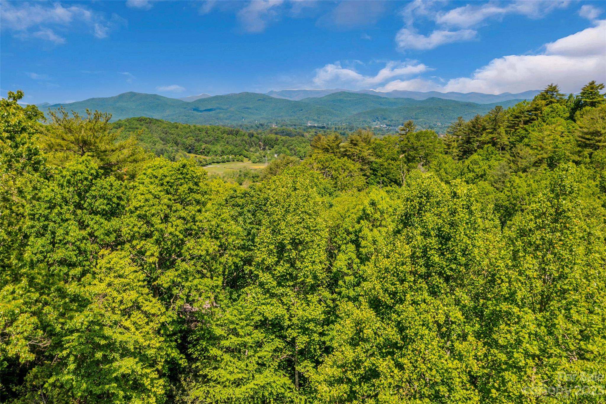230 Rocky Ridge Road Pisgah Forest, NC 28768 - Photo 39 of 45 Gallery Image 39