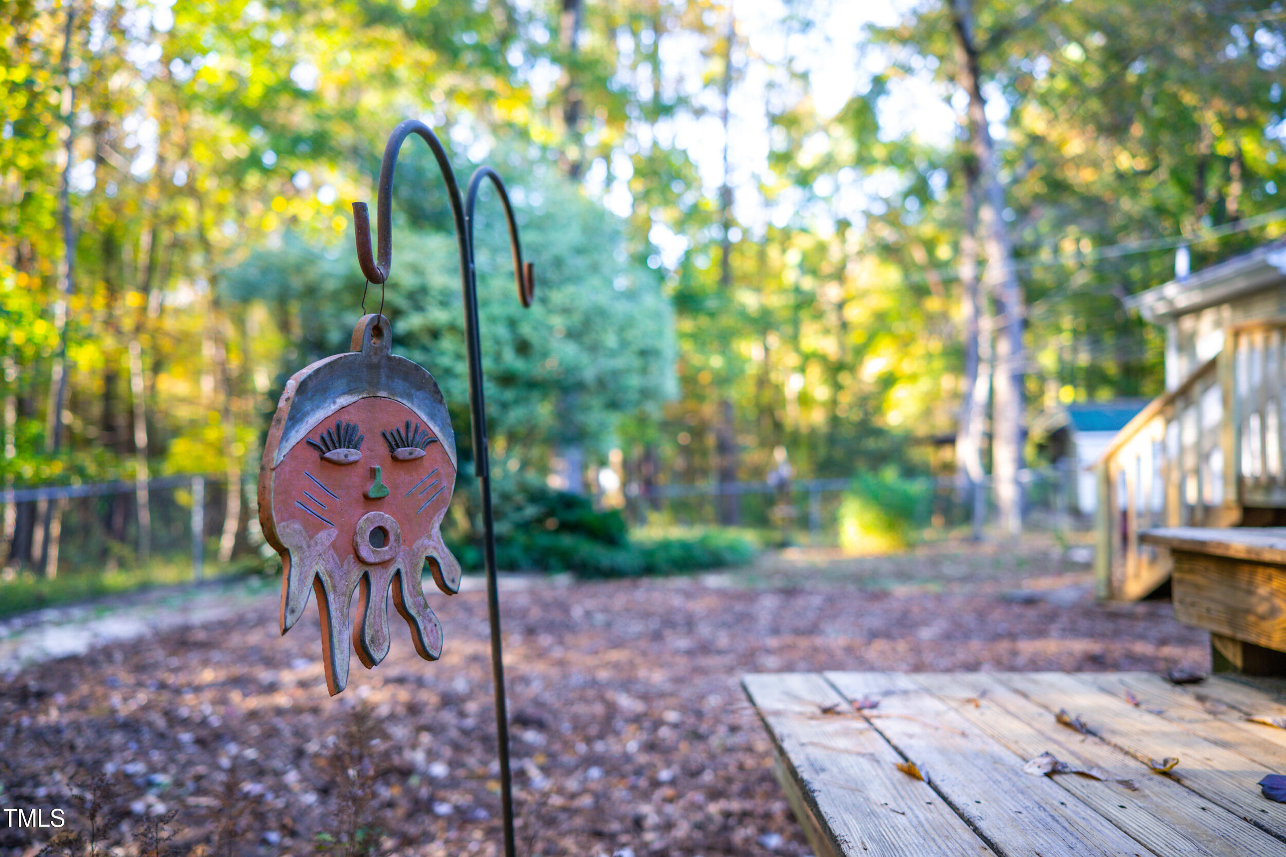 133 Olde Farm Road Pittsboro, NC 27312 - Photo 24 of 35 23_backyard4