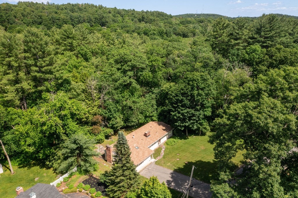 54 Brook Road Weston, MA 02493 - Photo 22 of 24