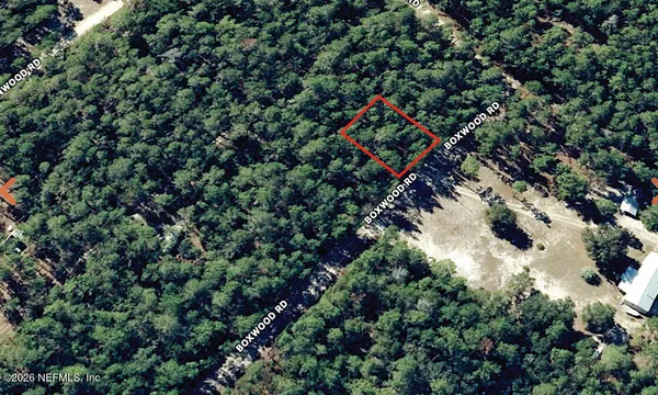 a view of a yard with a tree