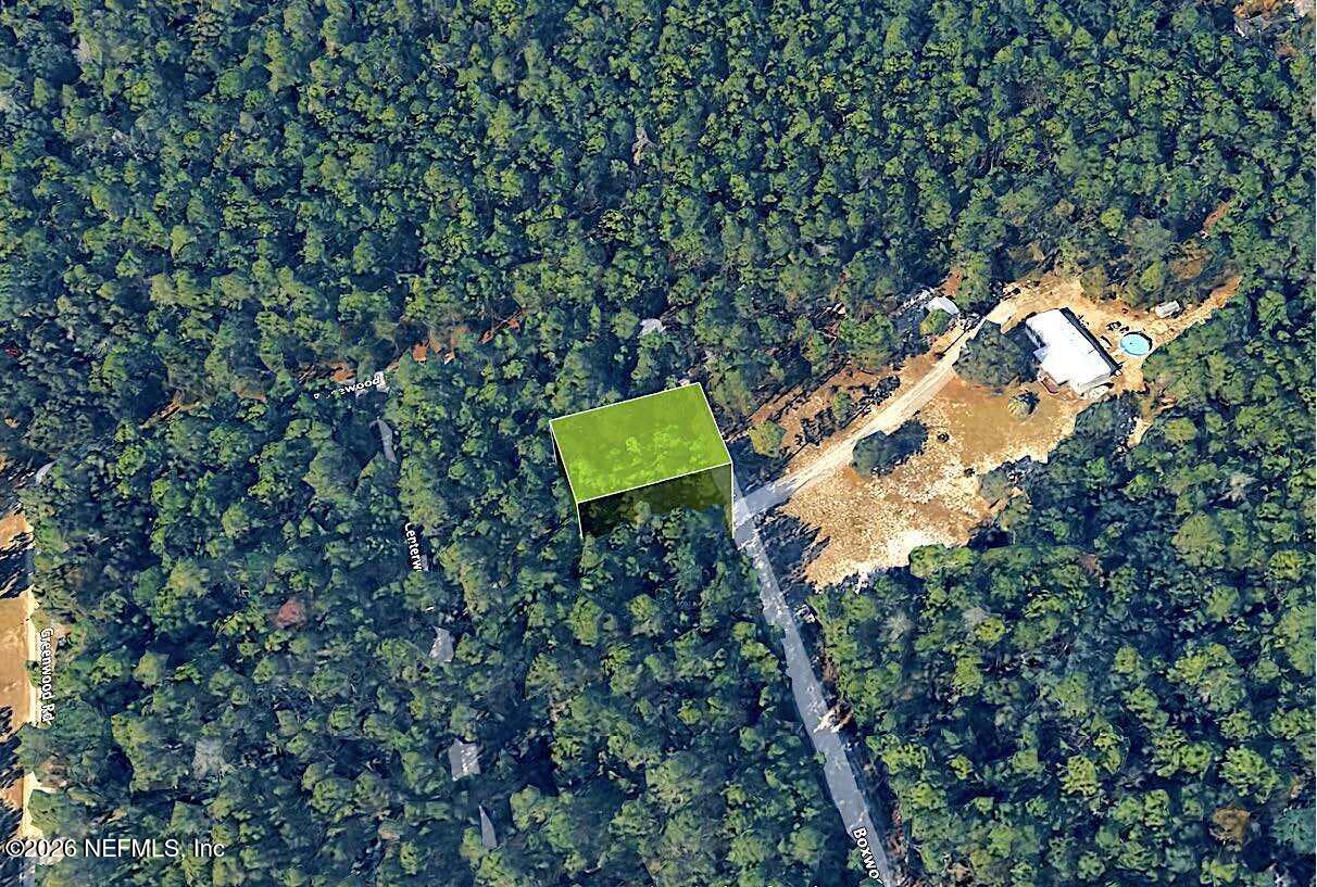 121 Boxwood Road Florahome, FL 32140 - Photo 3 of 9 a view of a yard with a tree