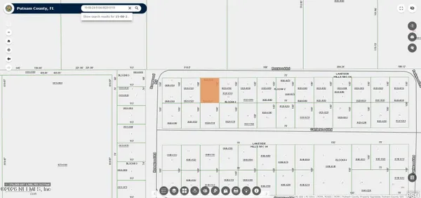 a view of a plant in a garden