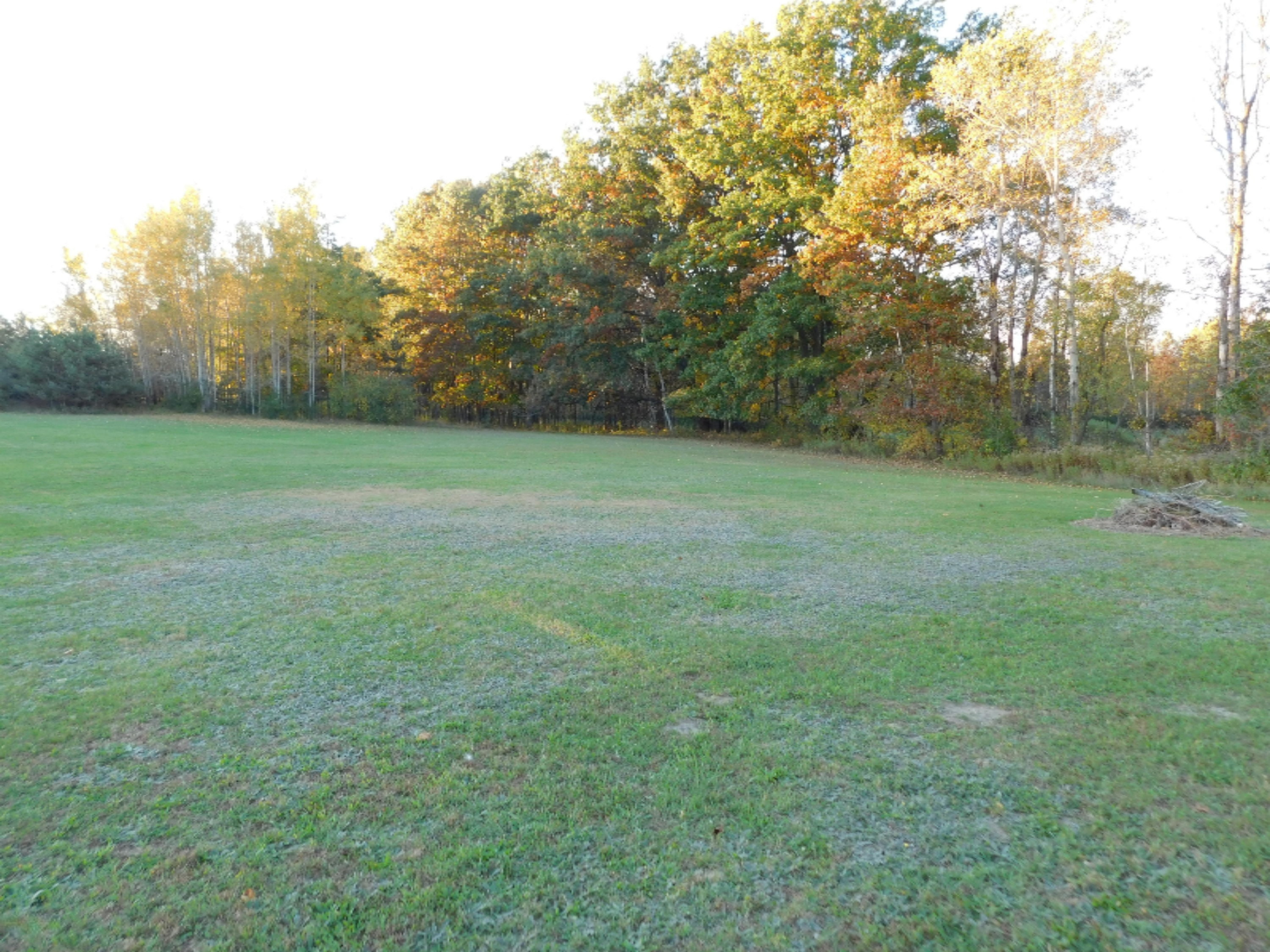 150 Church Road Northwest Edmore, MI 48829 - Photo 5 of 25 DSCN2990