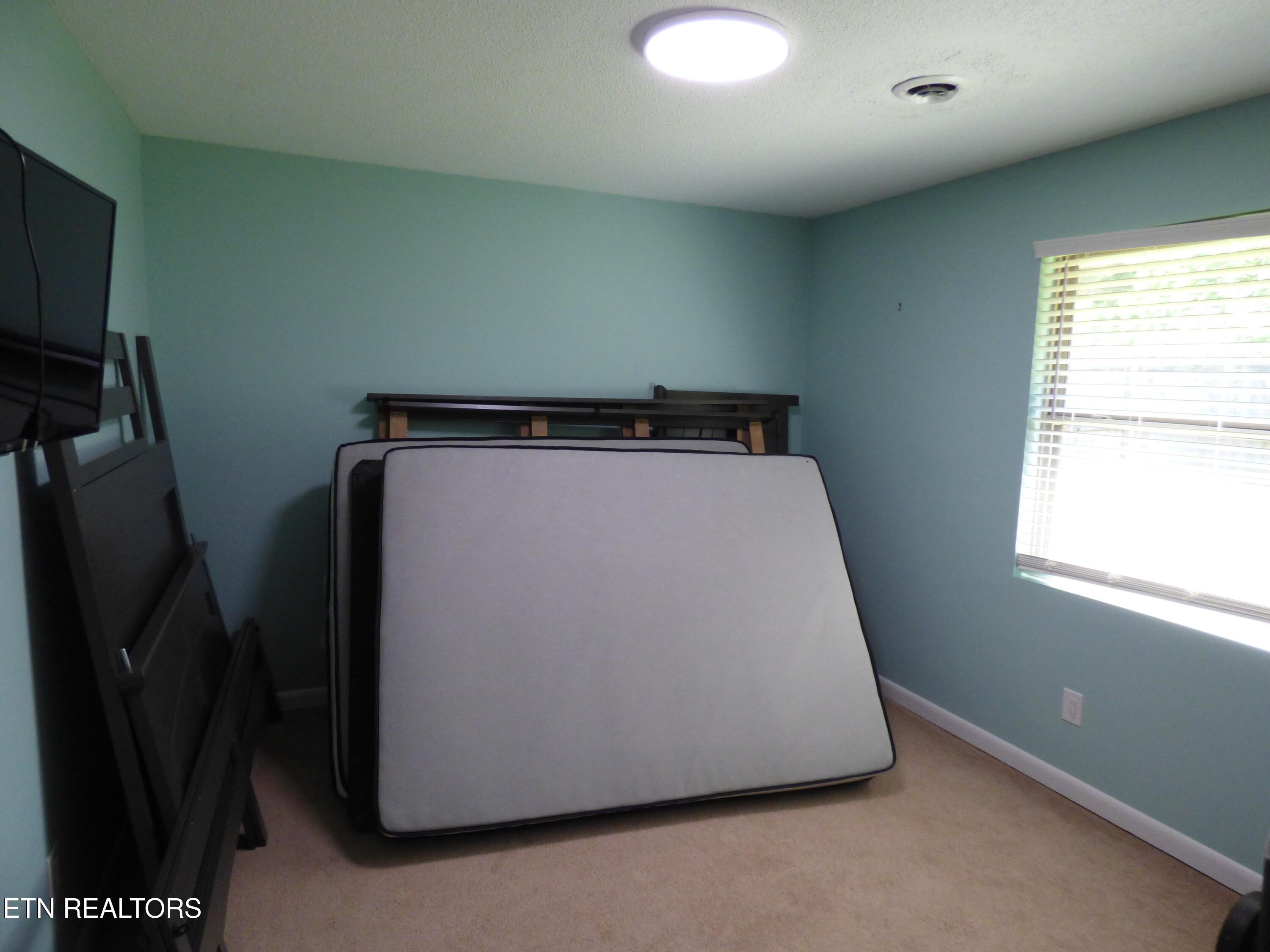 153 Travis Drive Spring City, TN 37381 - Photo 25 of 45 P1080907