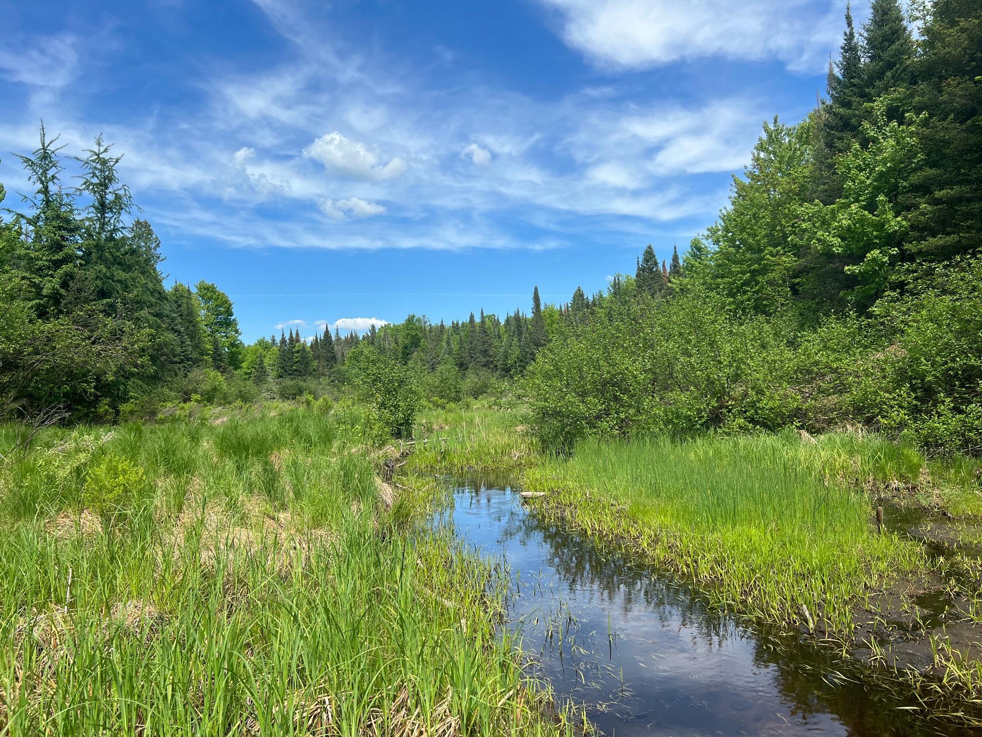 Lot 1 Smith Road North Couderay, WI 54828 - Photo 5 of 29