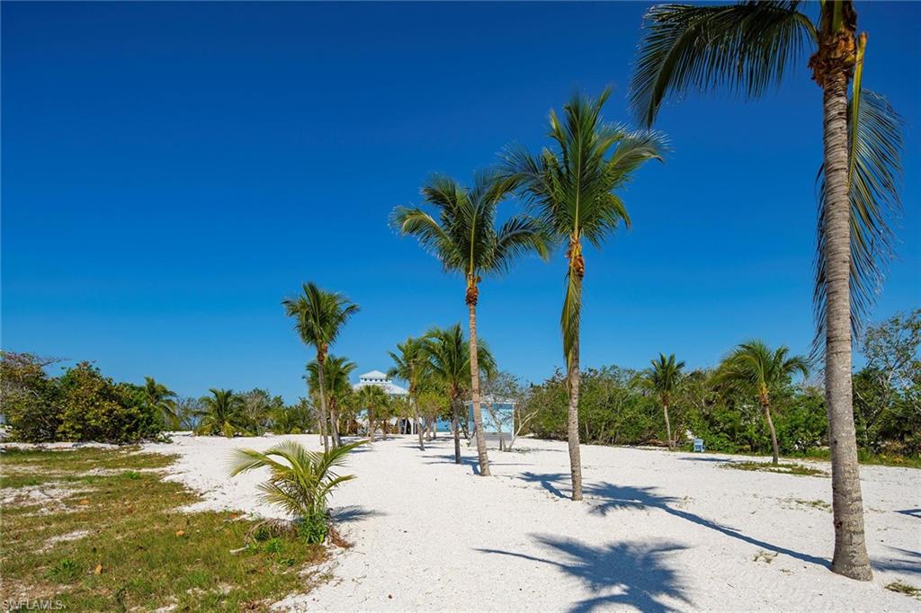11687 Keewaydin Naples, FL 34113 - Photo 38 of 49 a view of a lake with palm trees