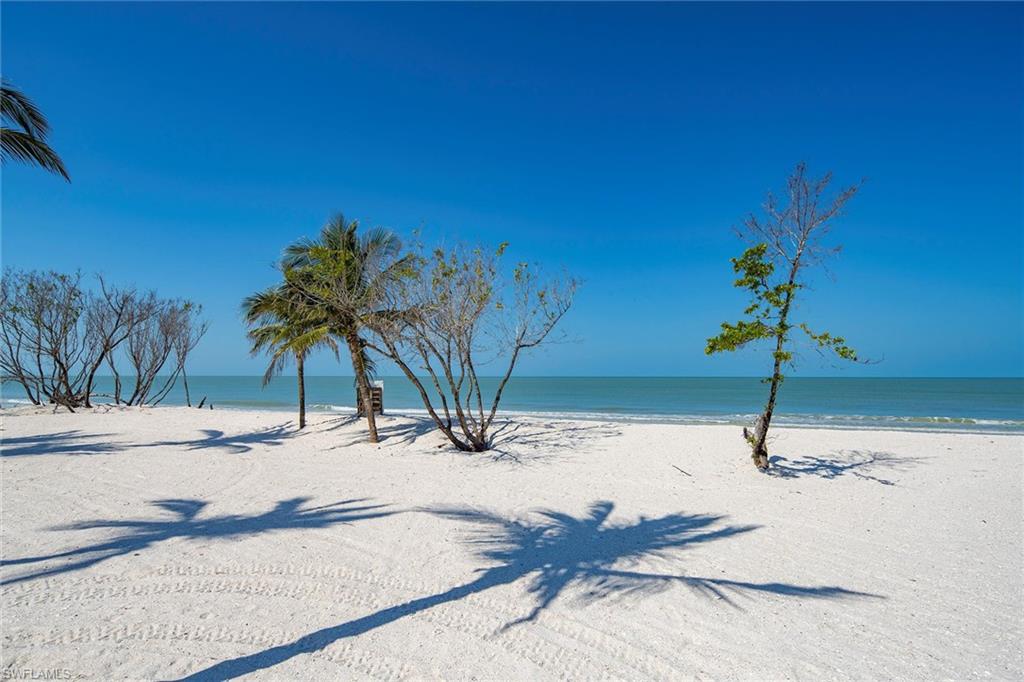 11687 Keewaydin Naples, FL 34113 - Photo 40 of 49 a swimming pool with a yard