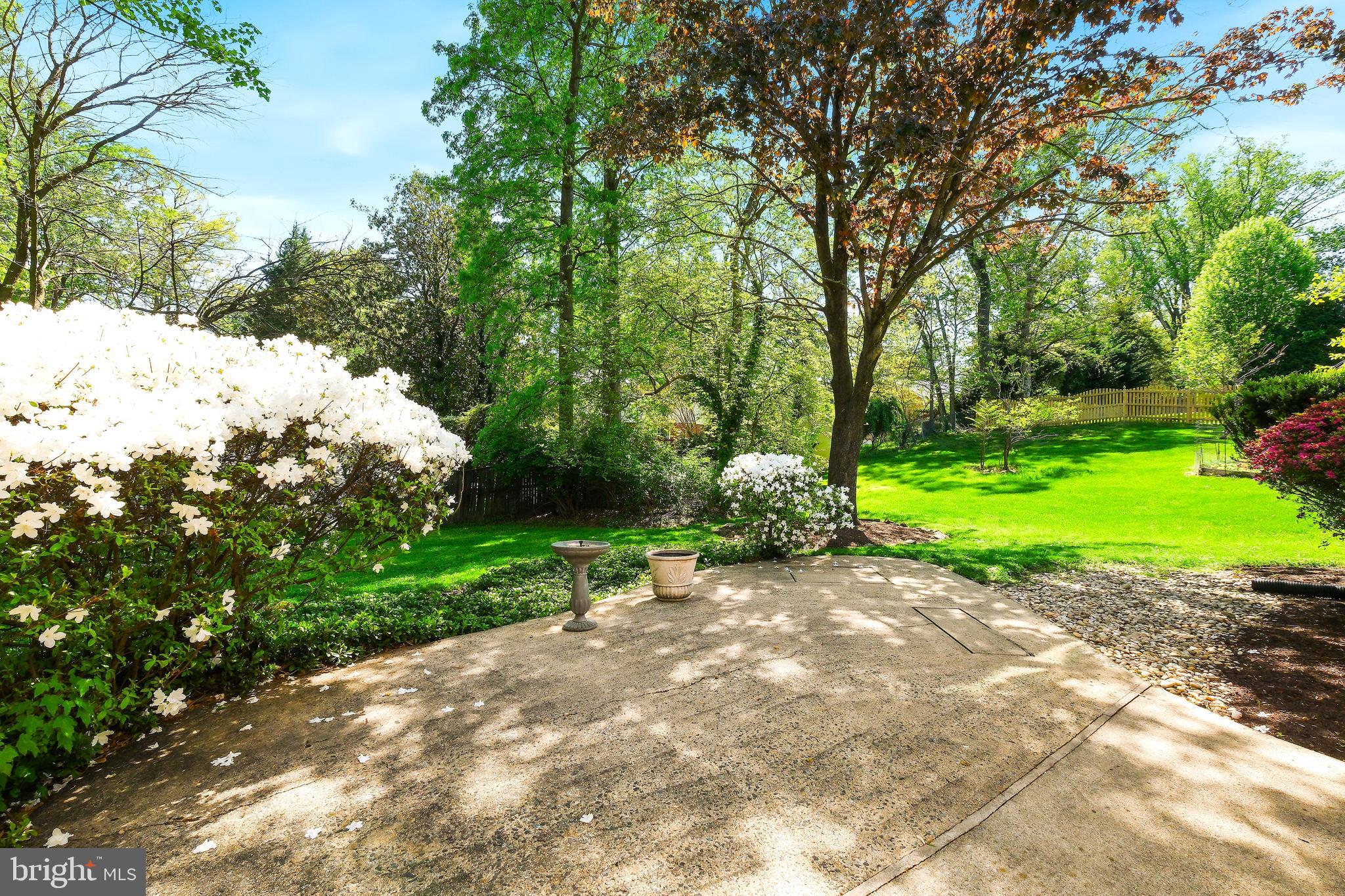 12012 Coldstream Drive Potomac, MD 20854 - Photo 30 of 42 a view of a garden with a tree