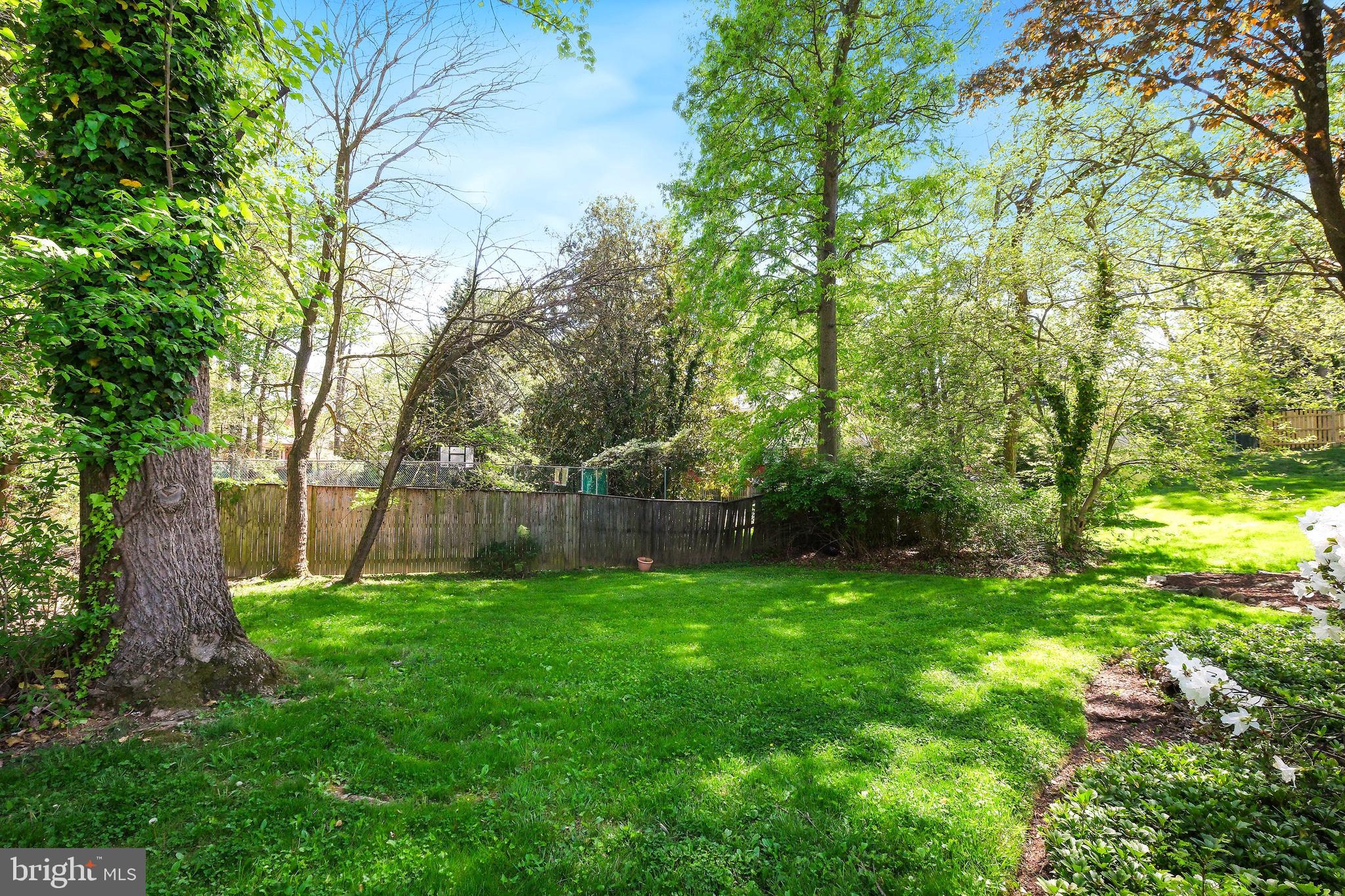 12012 Coldstream Drive Potomac, MD 20854 - Photo 32 of 42 a view of a yard with large trees