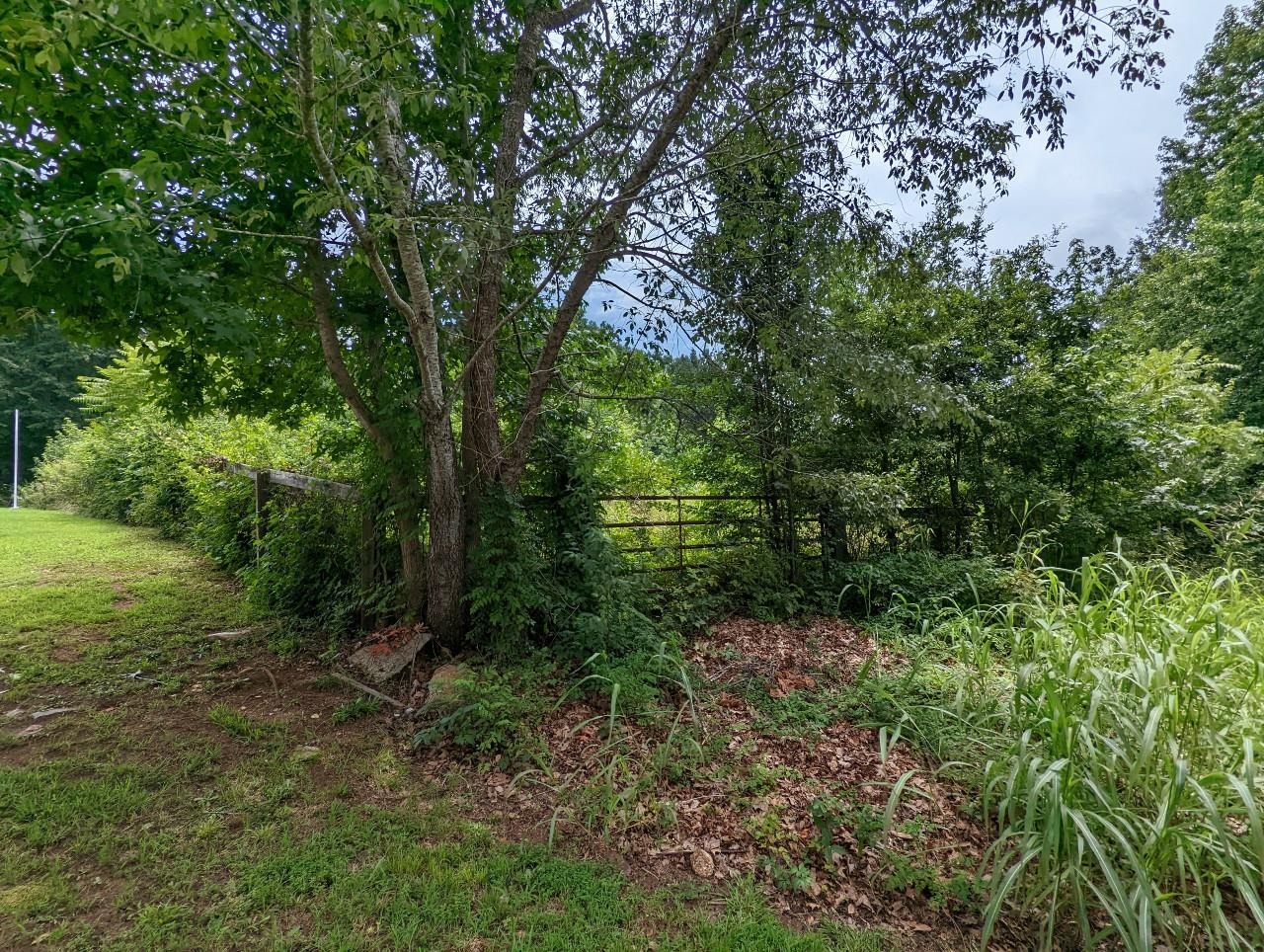 Dickson Cove Road Campobello, SC 29322 - Photo 2 of 11