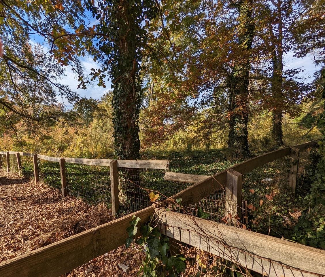 Dickson Cove Road Campobello, SC 29322 - Photo 5 of 11