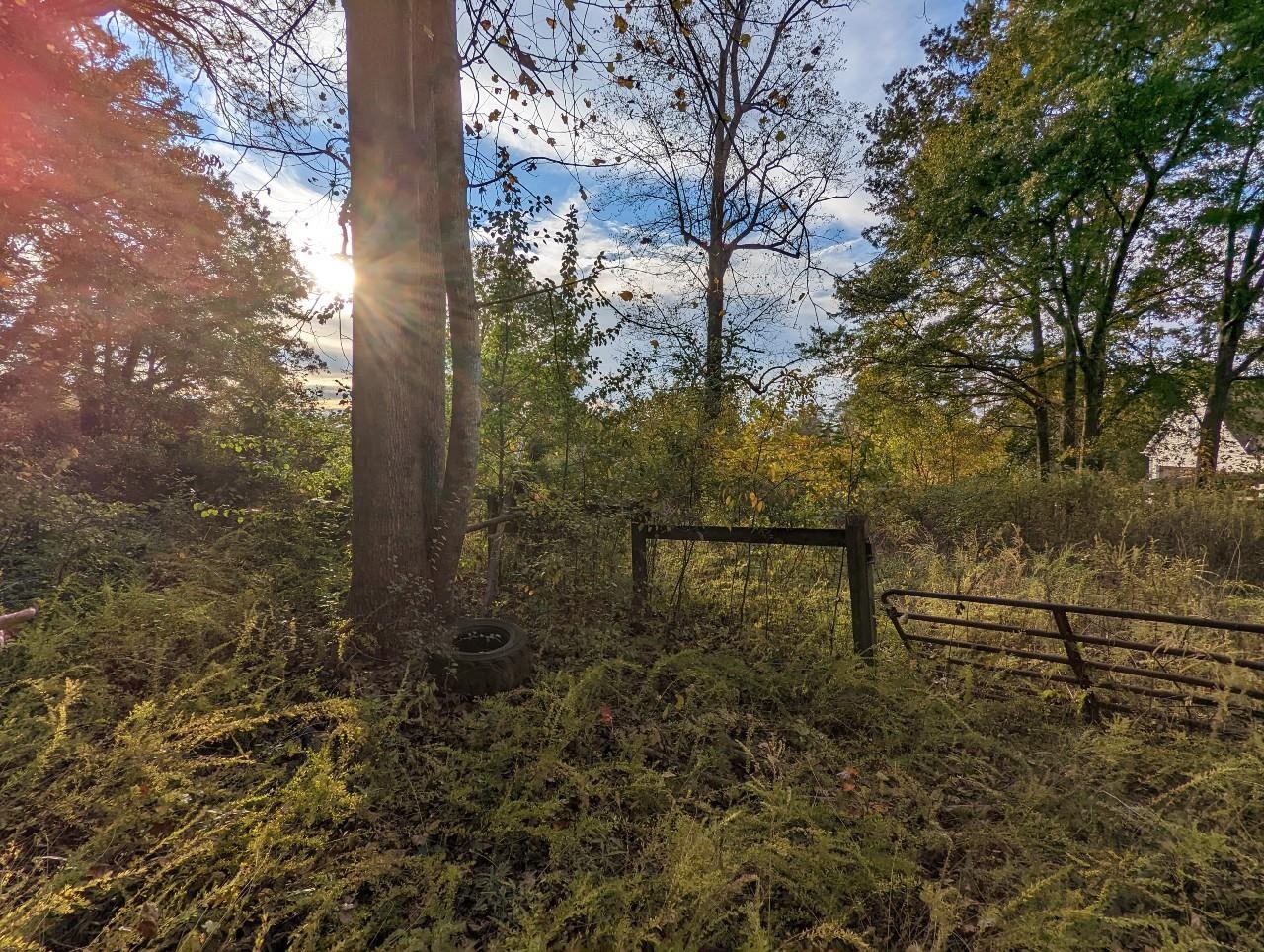 Dickson Cove Road Campobello, SC 29322 - Photo 6 of 11