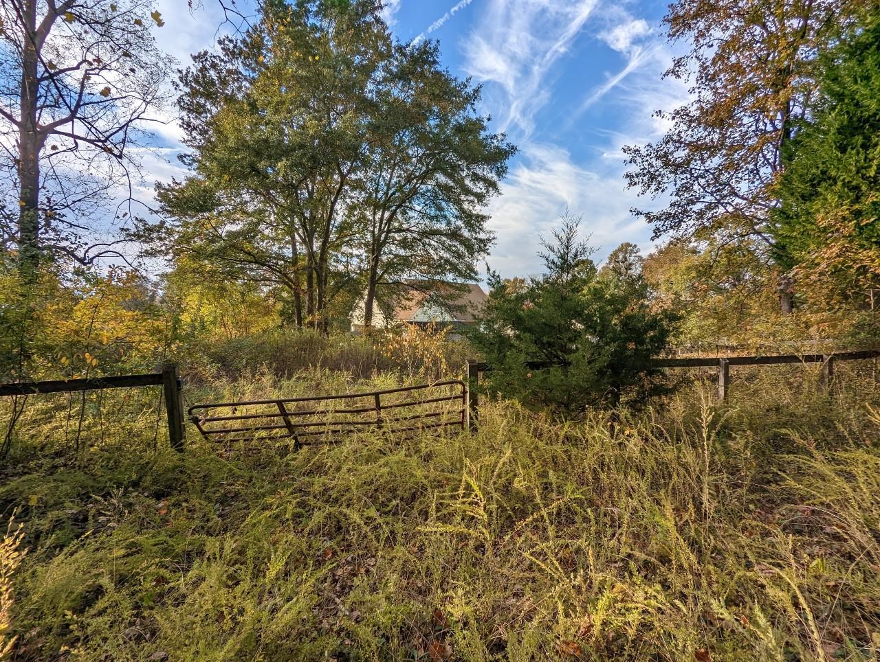 Dickson Cove Road Campobello, SC 29322 - Photo 7 of 11