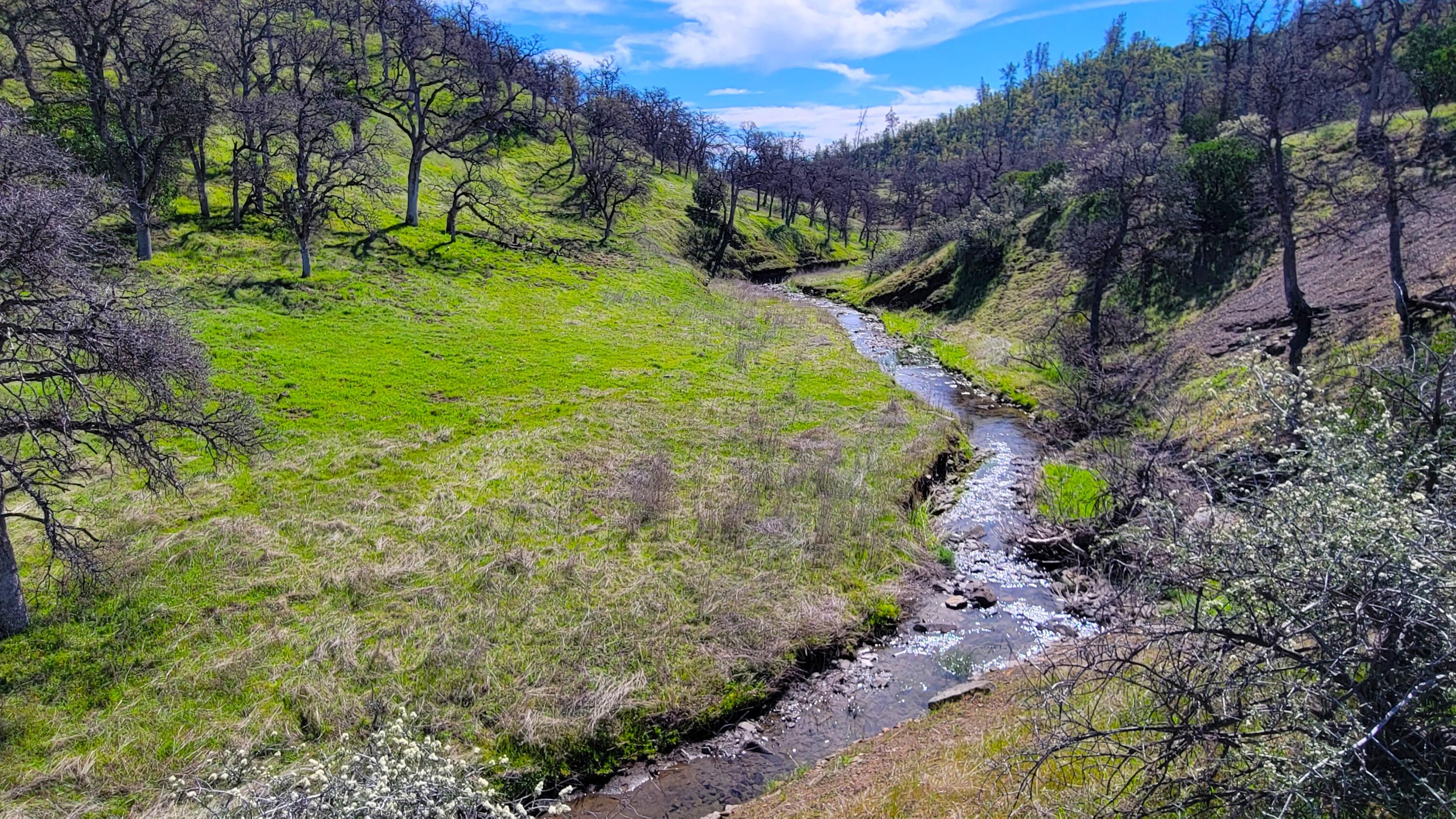 Lot 216 Tolowa Road Igo, CA 96047 - Photo 1 of 25 Property