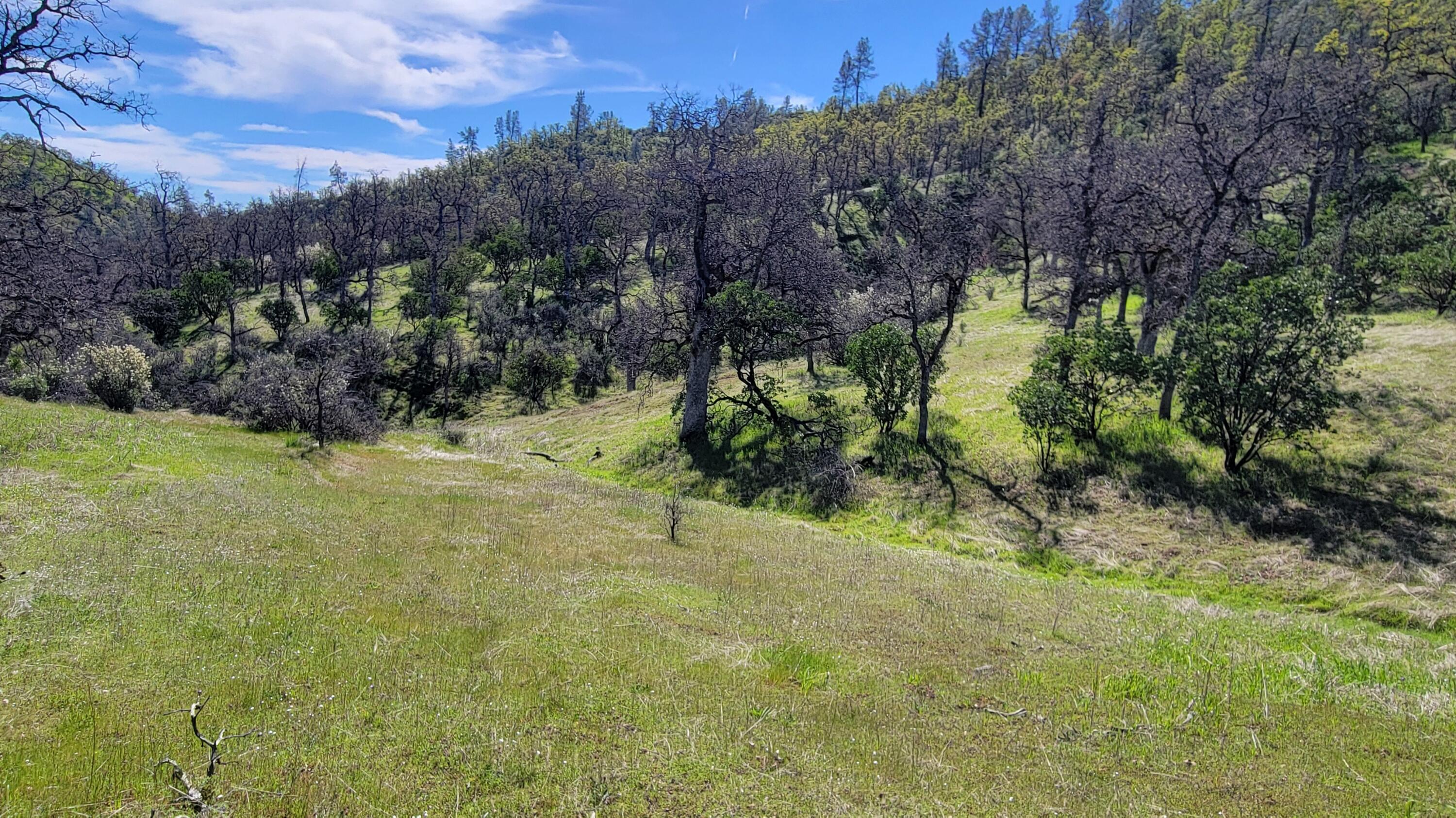 Lot 216 Tolowa Road Igo, CA 96047 - Photo 11 of 25 20250323_120253