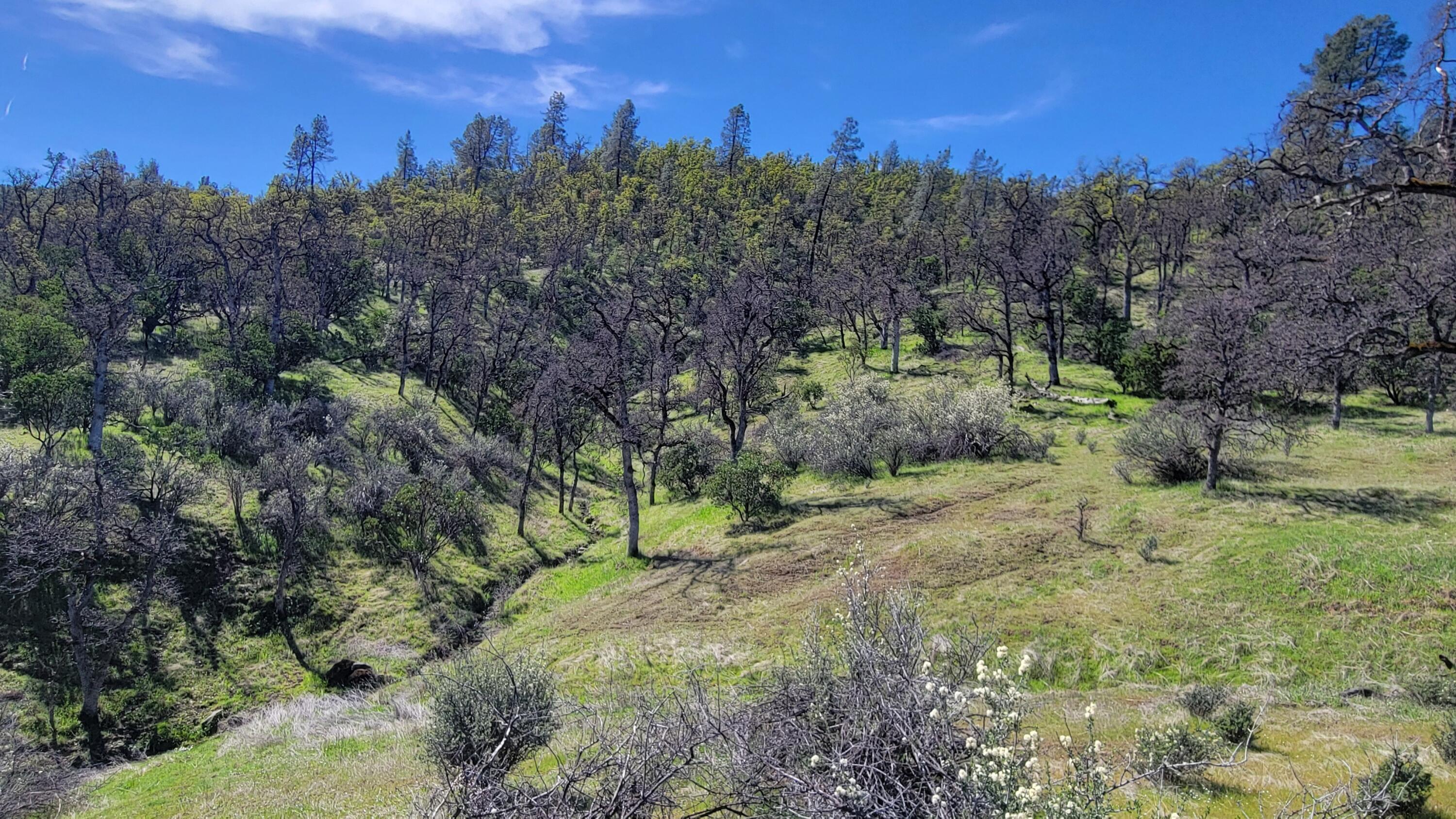 Lot 216 Tolowa Road Igo, CA 96047 - Photo 12 of 25 20250323_120331